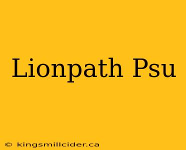 Lionpath Psu