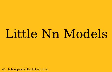 Little Nn Models