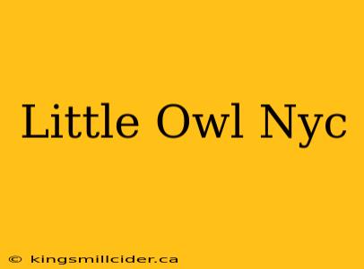 Little Owl Nyc