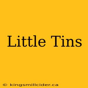 Little Tins