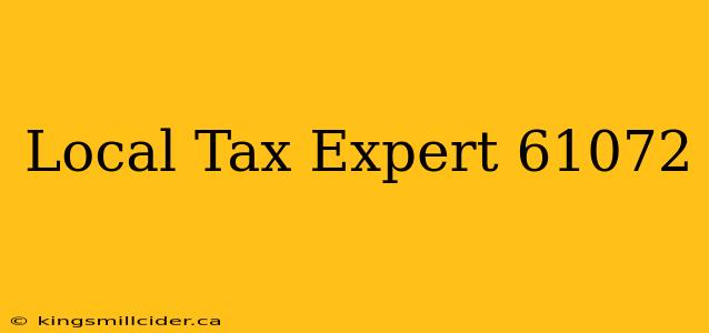 Local Tax Expert 61072