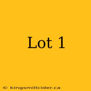 Lot 1