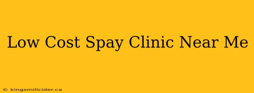 Low Cost Spay Clinic Near Me