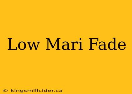 Low Mari Fade