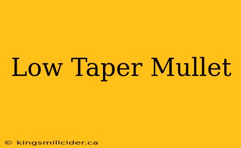 Low Taper Mullet