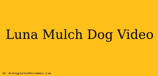 Luna Mulch Dog Video