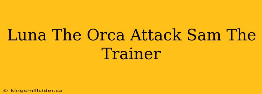 Luna The Orca Attack Sam The Trainer