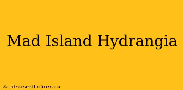 Mad Island Hydrangia