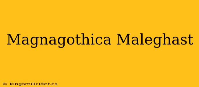 Magnagothica Maleghast