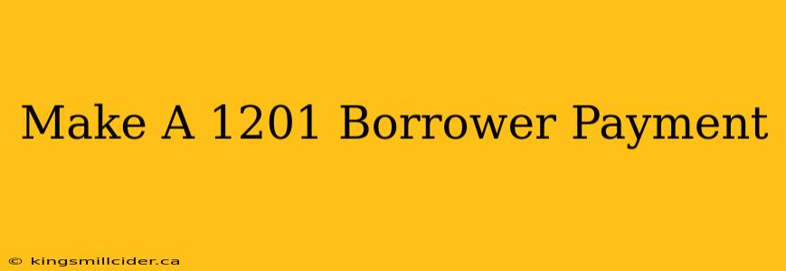 Make A 1201 Borrower Payment