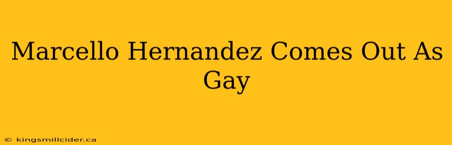 Marcello Hernandez Comes Out As Gay