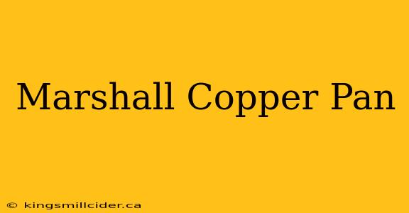 Marshall Copper Pan