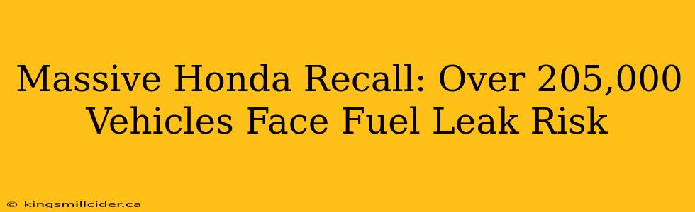 Massive Honda Recall: Over 205,000 Vehicles Face Fuel Leak Risk