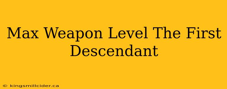 Max Weapon Level The First Descendant