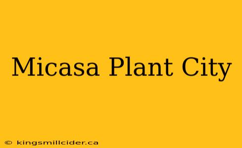 Micasa Plant City