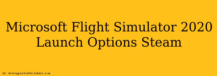 Microsoft Flight Simulator 2020 Launch Options Steam