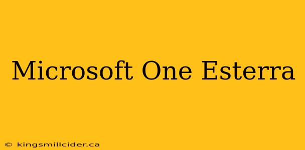 Microsoft One Esterra