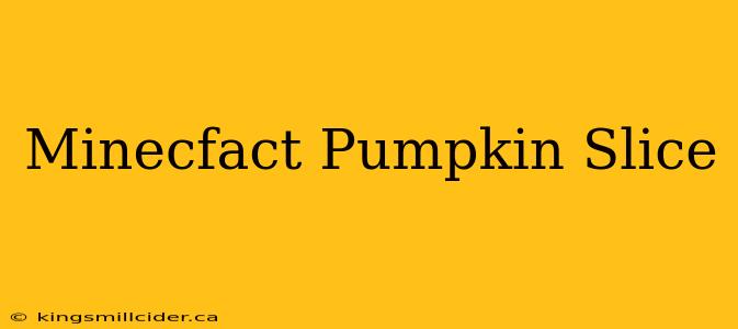 Minecfact Pumpkin Slice