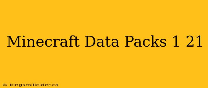 Minecraft Data Packs 1 21