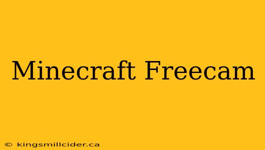 Minecraft Freecam