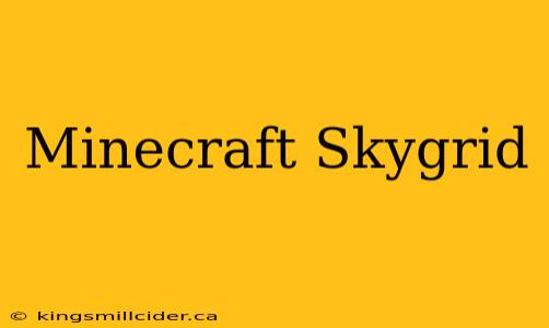 Minecraft Skygrid