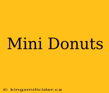 Mini Donuts