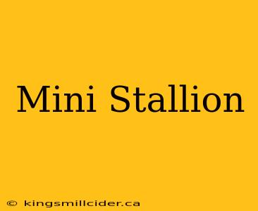 Mini Stallion