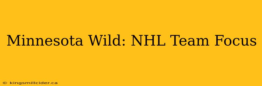 Minnesota Wild: NHL Team Focus