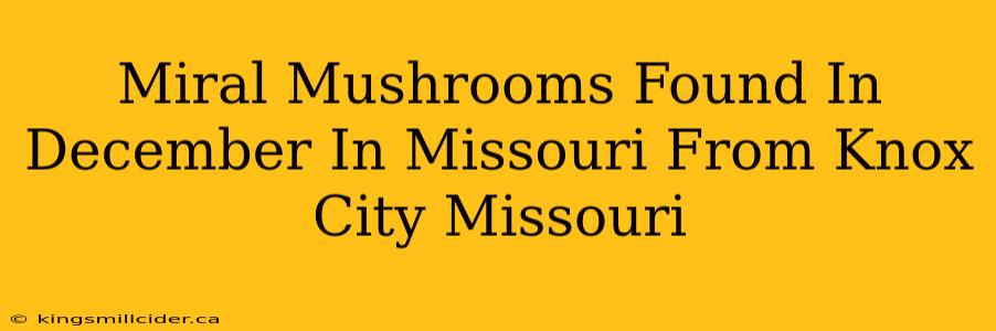 Miral Mushrooms Found In December In Missouri From Knox City Missouri