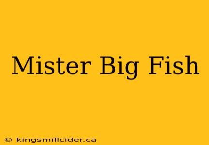 Mister Big Fish