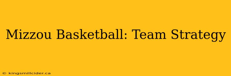 Mizzou Basketball: Team Strategy
