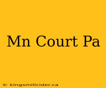 Mn Court Pa