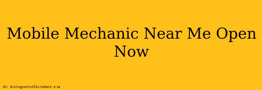 Mobile Mechanic Near Me Open Now