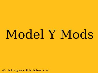 Model Y Mods