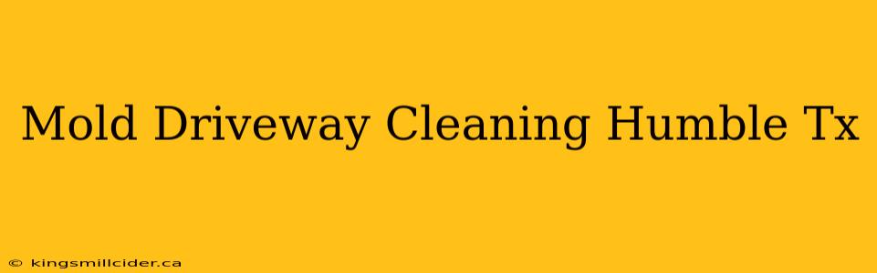 Mold Driveway Cleaning Humble Tx