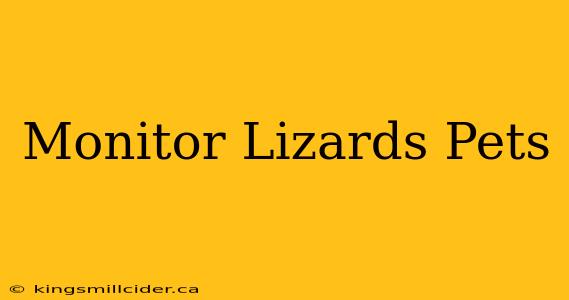 Monitor Lizards Pets