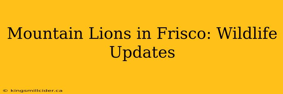 Mountain Lions in Frisco: Wildlife Updates