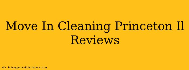 Move In Cleaning Princeton Il Reviews