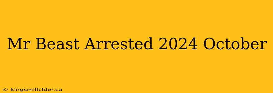 Mr Beast Arrested 2024 October