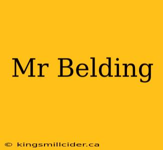 Mr Belding