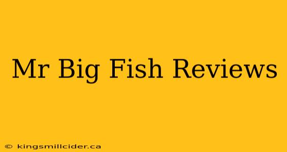 Mr Big Fish Reviews