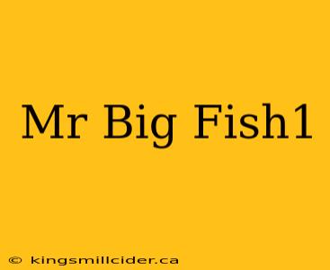 Mr Big Fish1