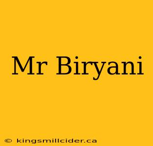 Mr Biryani