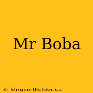 Mr Boba