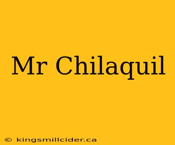 Mr Chilaquil