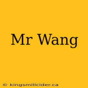 Mr Wang