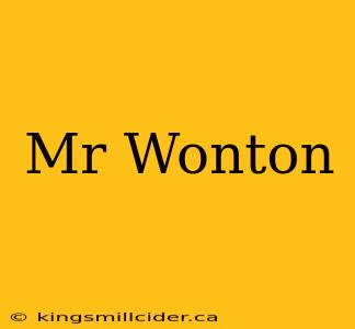 Mr Wonton