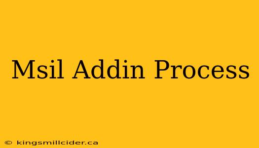 Msil Addin Process