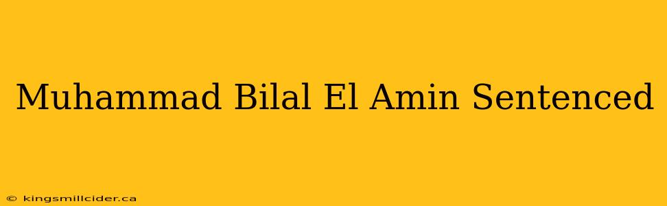 Muhammad Bilal El Amin Sentenced