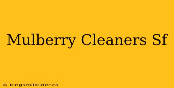 Mulberry Cleaners Sf